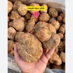 Iranian White Truffle دنبلان کوهی (زبیدی) - 1Kg