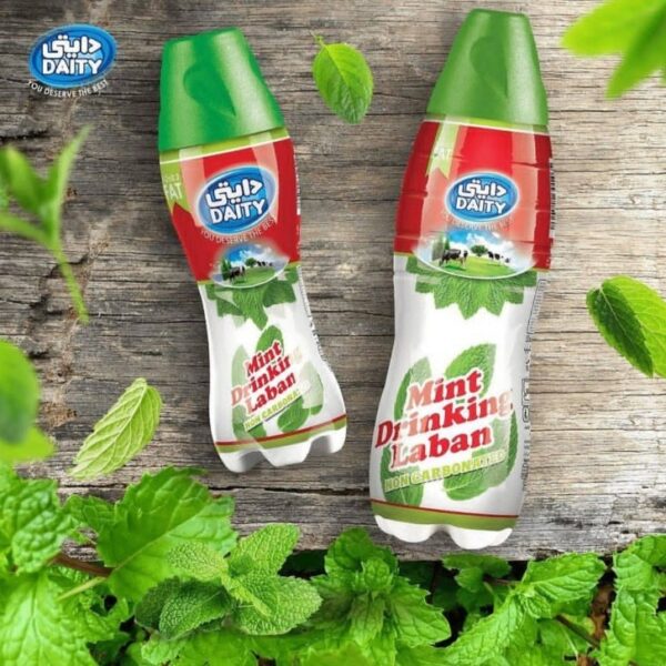 Daity mint drinking Laban non carbonated 1500cc دوغ نعنایی بدون گاز دایتی