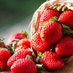 Iranian Strawberry package 250gr توت فرنگی ایران
