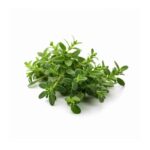 Thyme leaves fresh 150gr زعتر تازه