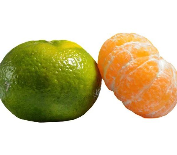 Green mandarin 1kg نارنگی سبز
